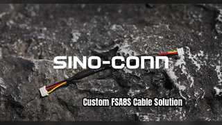 Custom FSA8S Receiver Cable Twisted Wire Harness 100มม