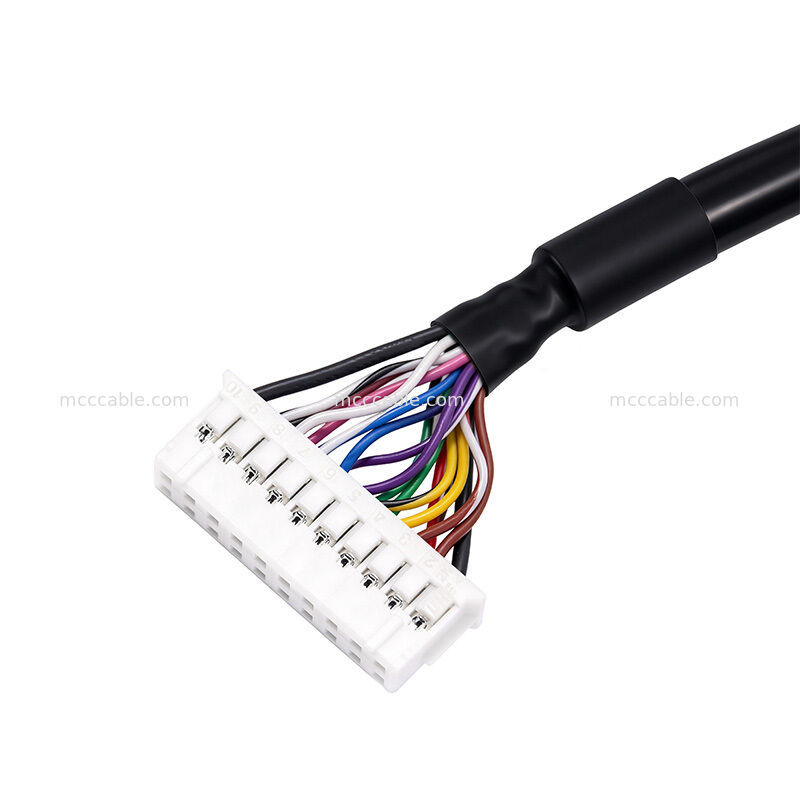 Custom M.2 to Adapter Board Cable Assembly with 20-Pin PHDR-20VS Connectors