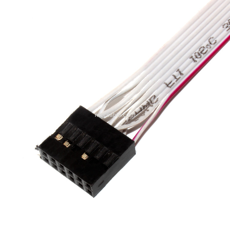 IDC 12 PIN Flat Flexible Ribbon Cable DF19 TO JST RF สำหรับสายไฟ PCBA