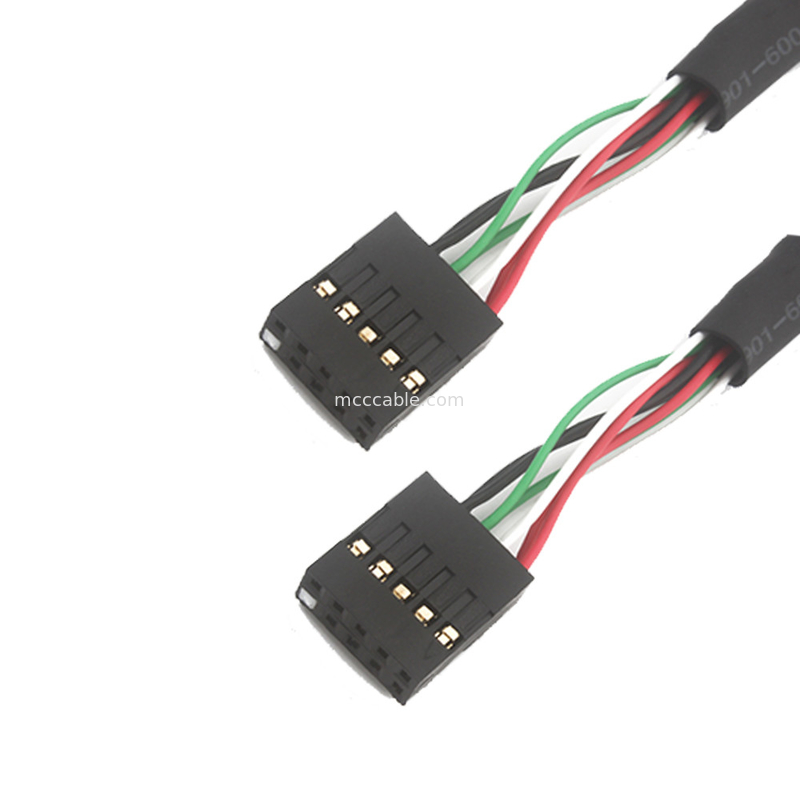 2.54mm Dual Usb Wire Harness สาย Bb ถึง Sbc 10 POS MOLEX 22552101
